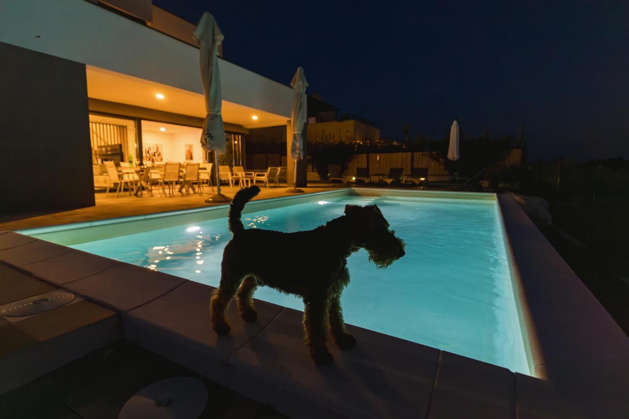 Villa Boiky - Private Pool And Amazing Sea View, Istria Materada Exteriér fotografie