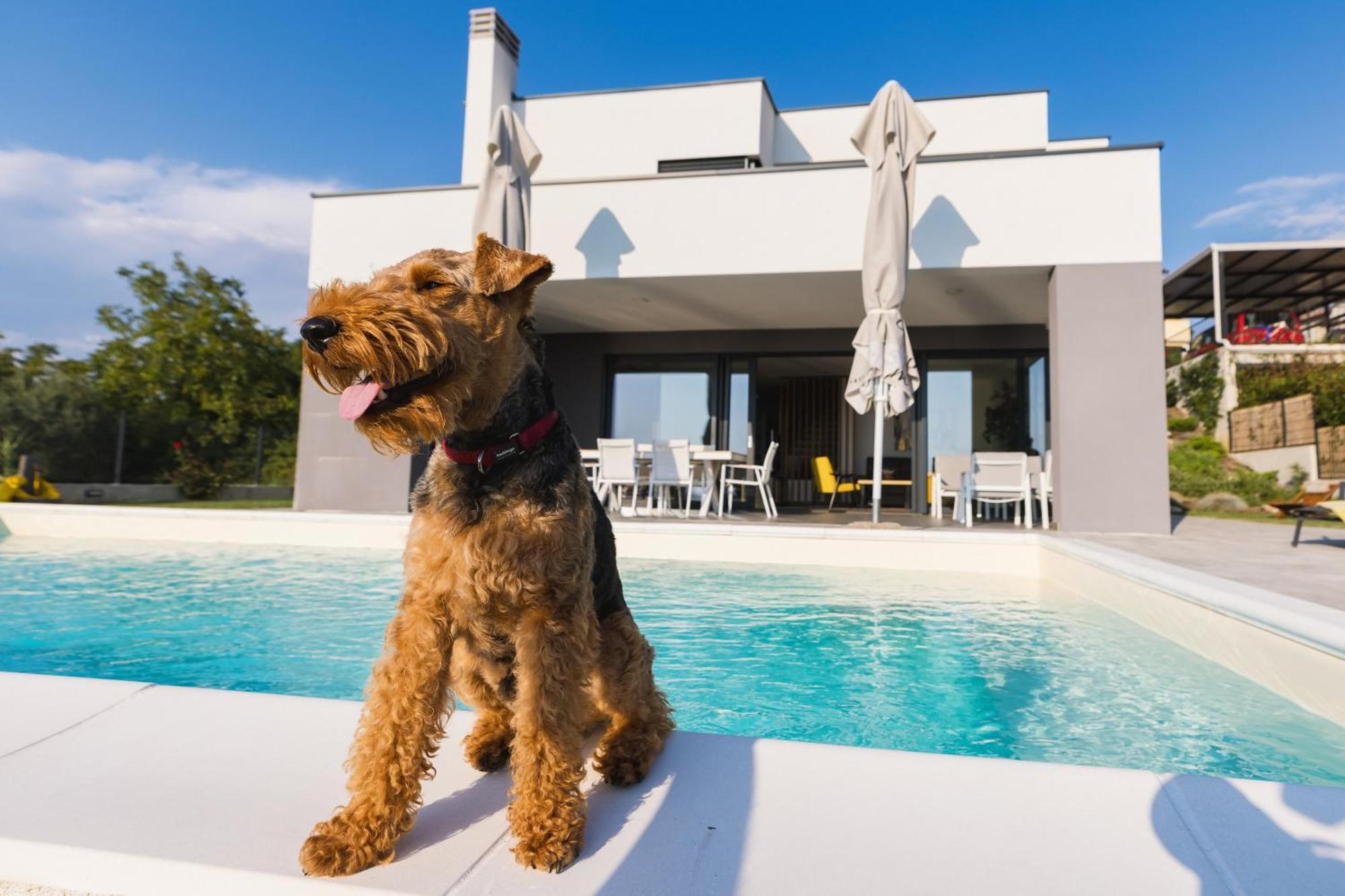 Villa Boiky - Private Pool And Amazing Sea View, Istria Materada Exteriér fotografie